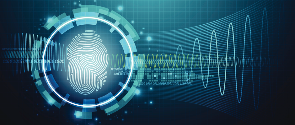 Navigating the Fintech Frontier with the Future of Digital Identity!